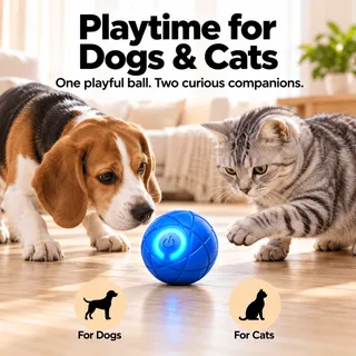 PawMonty™ MontyBall – Self-Moving Interactive Dog Ball 4