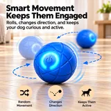 PawMonty™ MontyBall – Self-Moving Interactive Dog Ball 3