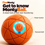 PawMonty™ MontyBall – Self-Moving Interactive Dog Ball 2