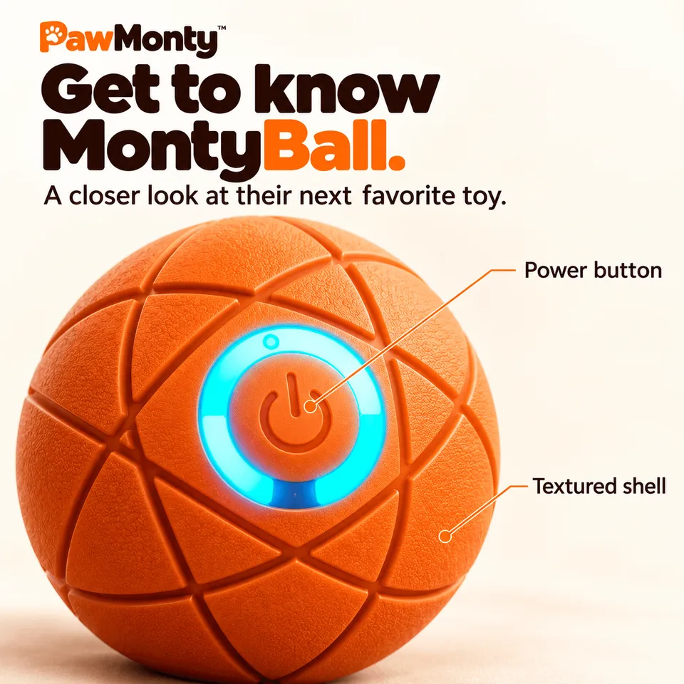 PawMonty™ MontyBall – Self-Moving Interactive Dog Ball 2