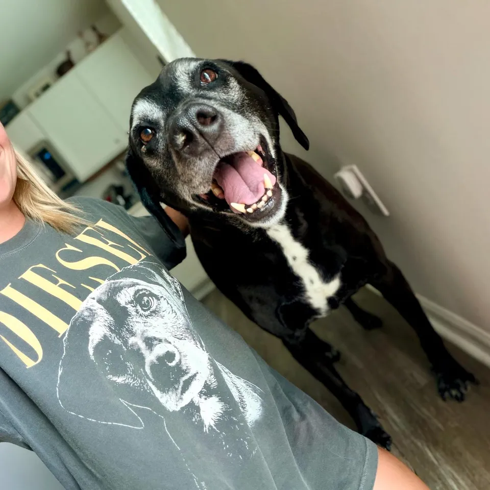 Custom Pet Photo And Name Shirt 5